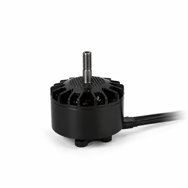 RID MOTORS 3115 900kv 2234 фото